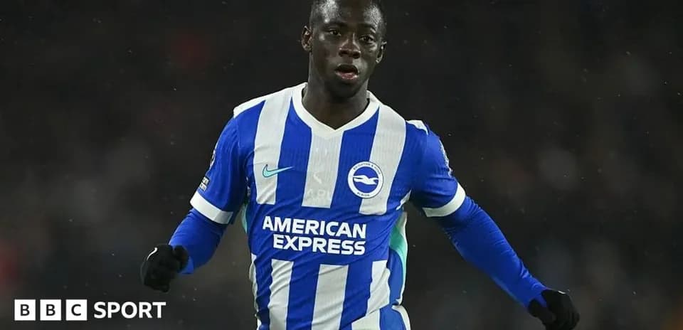 Player in Brighton kit celebrating during match