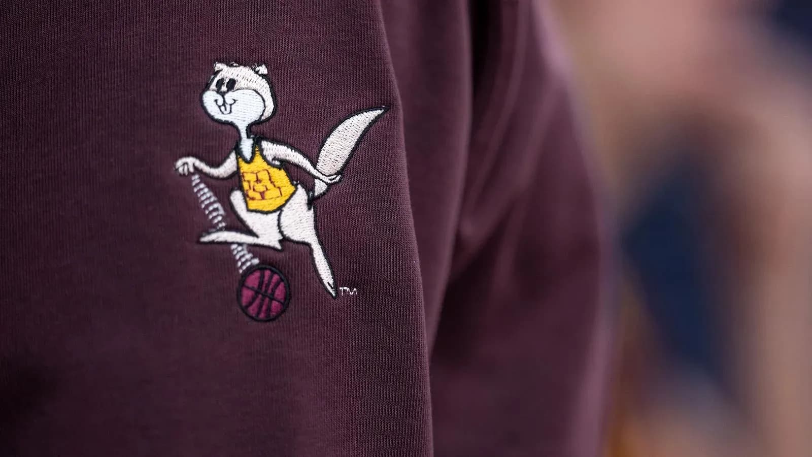 Embroidered mascot logo on sweatshirt with basketball