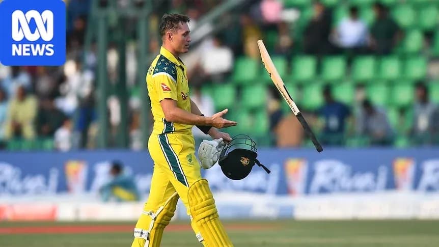 Cricketer walking off field after batting dismissal