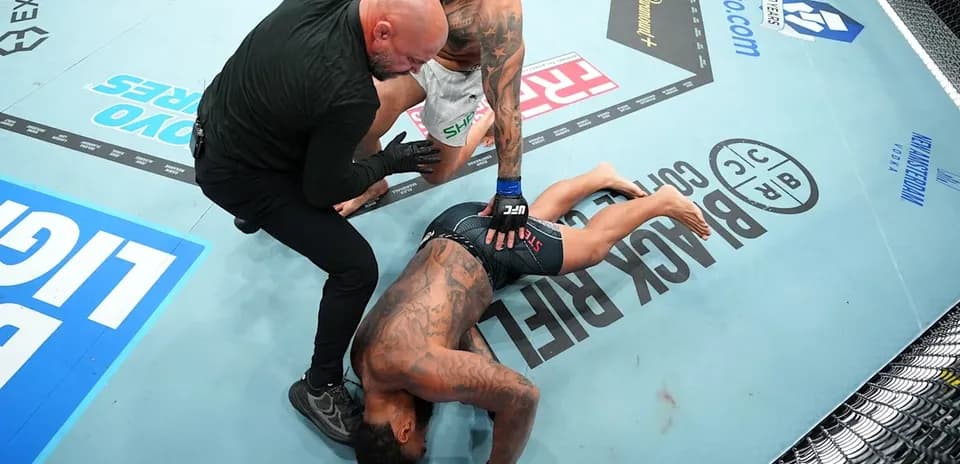 Referee assisting fallen fighter in octagon