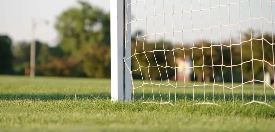 Soccer goalpost and net on grassy field