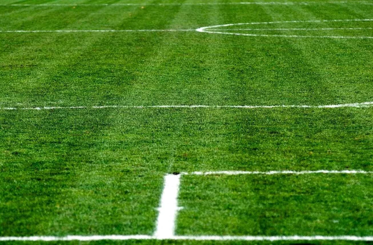 Close-up of a soccer field with markings