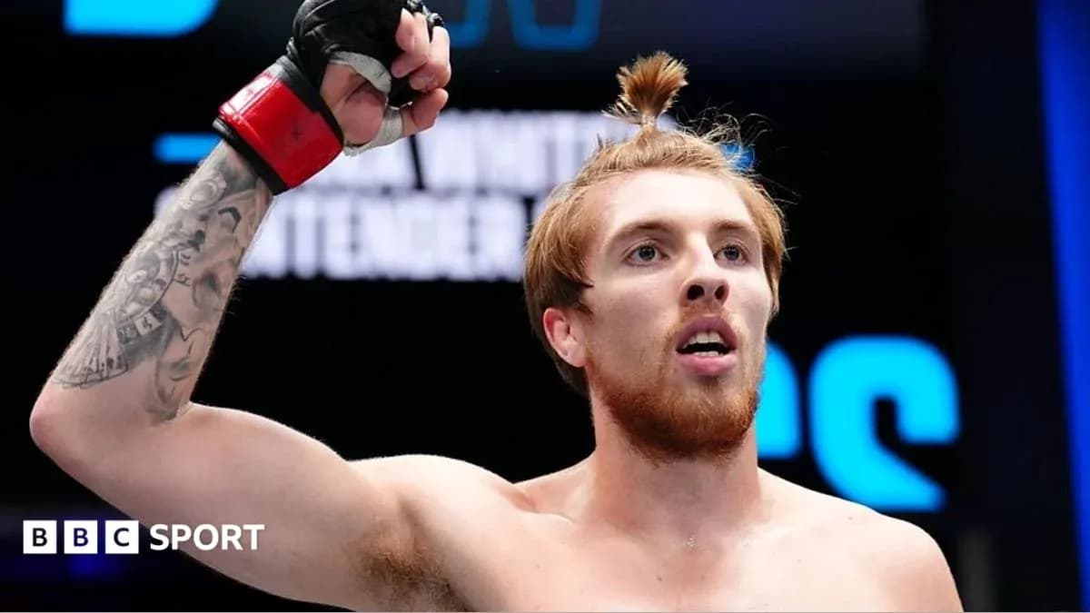 Fighter celebrating victory in the octagon Fighter celebrating victory in the octagon