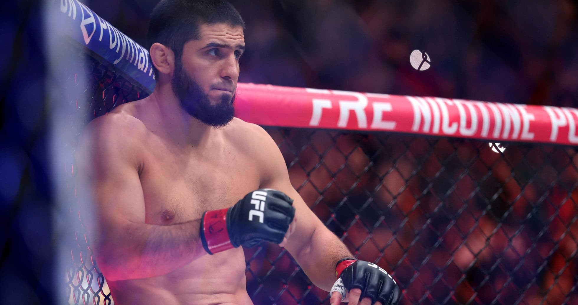 Fighter resting in corner of UFC octagon Fighter resting in corner of UFC octagon