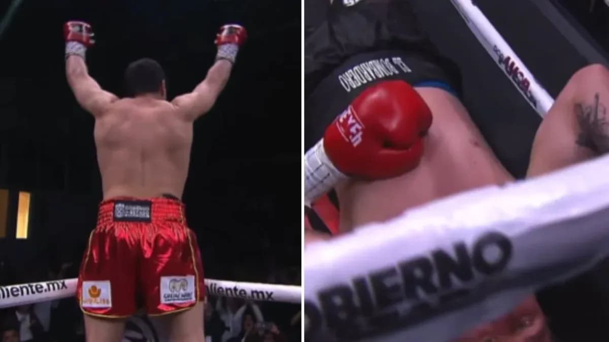 Boxer celebrating victory after knockout in ring Boxer celebrating victory after knockout in ring