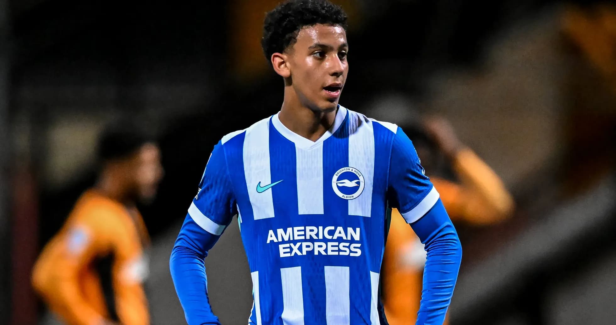 Brighton player in blue and white jersey on field Brighton player in blue and white jersey on field